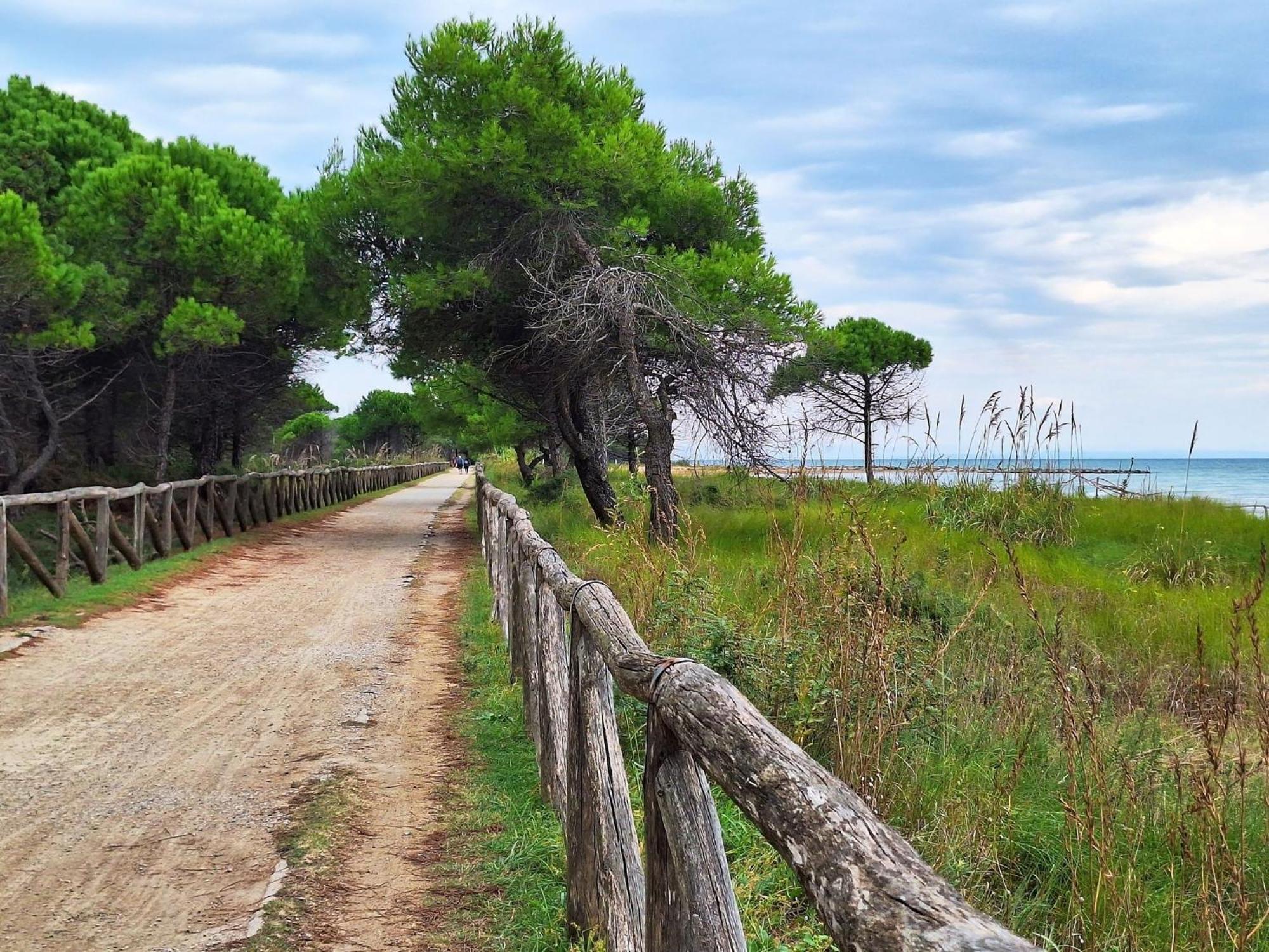 Cozy Villa 250 Metres From The Beach - Beahost - Bibione Exterior photo
